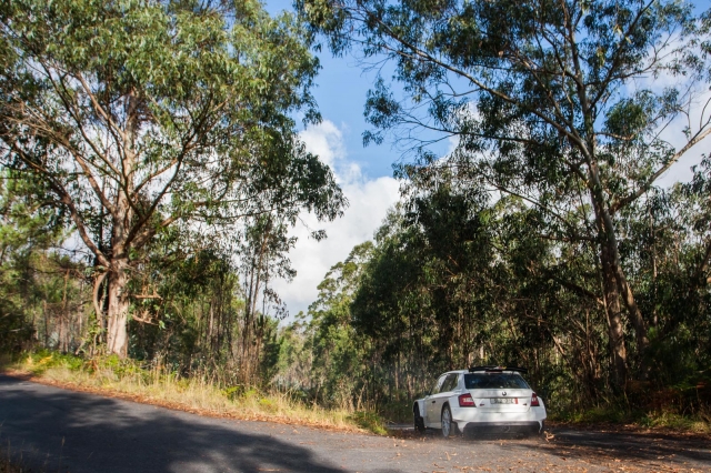 019 test skoda fabia r5 009